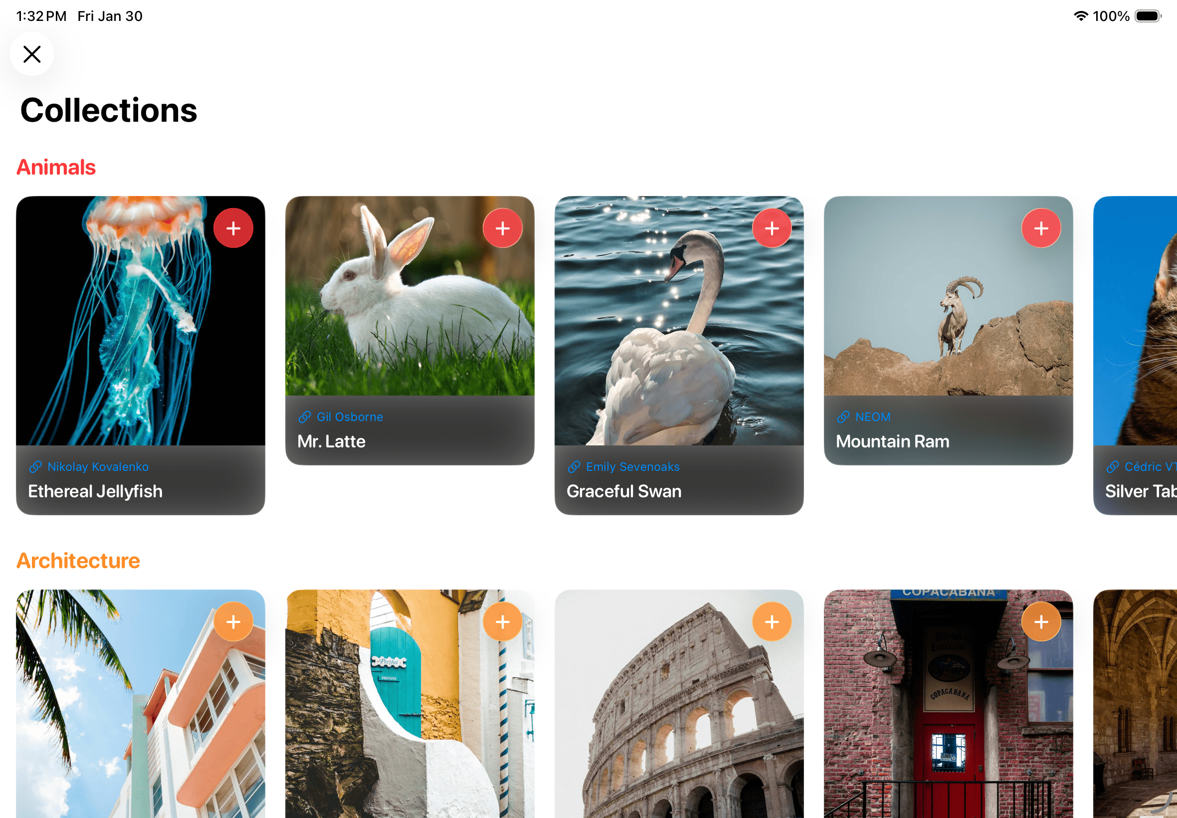 Browsing curated reference collections